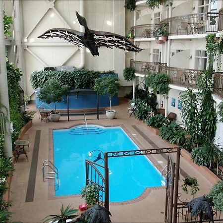 לוויס Hotel L'Oie Des Neiges מראה חיצוני תמונה