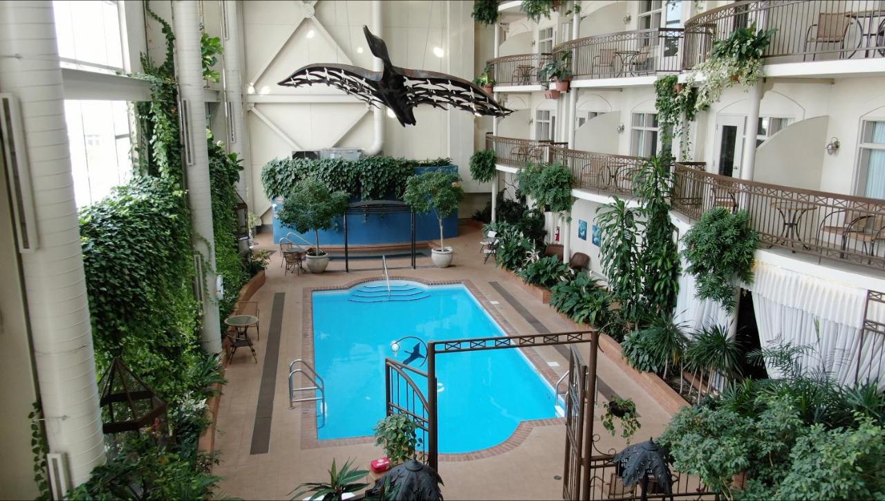 לוויס Hotel L'Oie Des Neiges מראה חיצוני תמונה