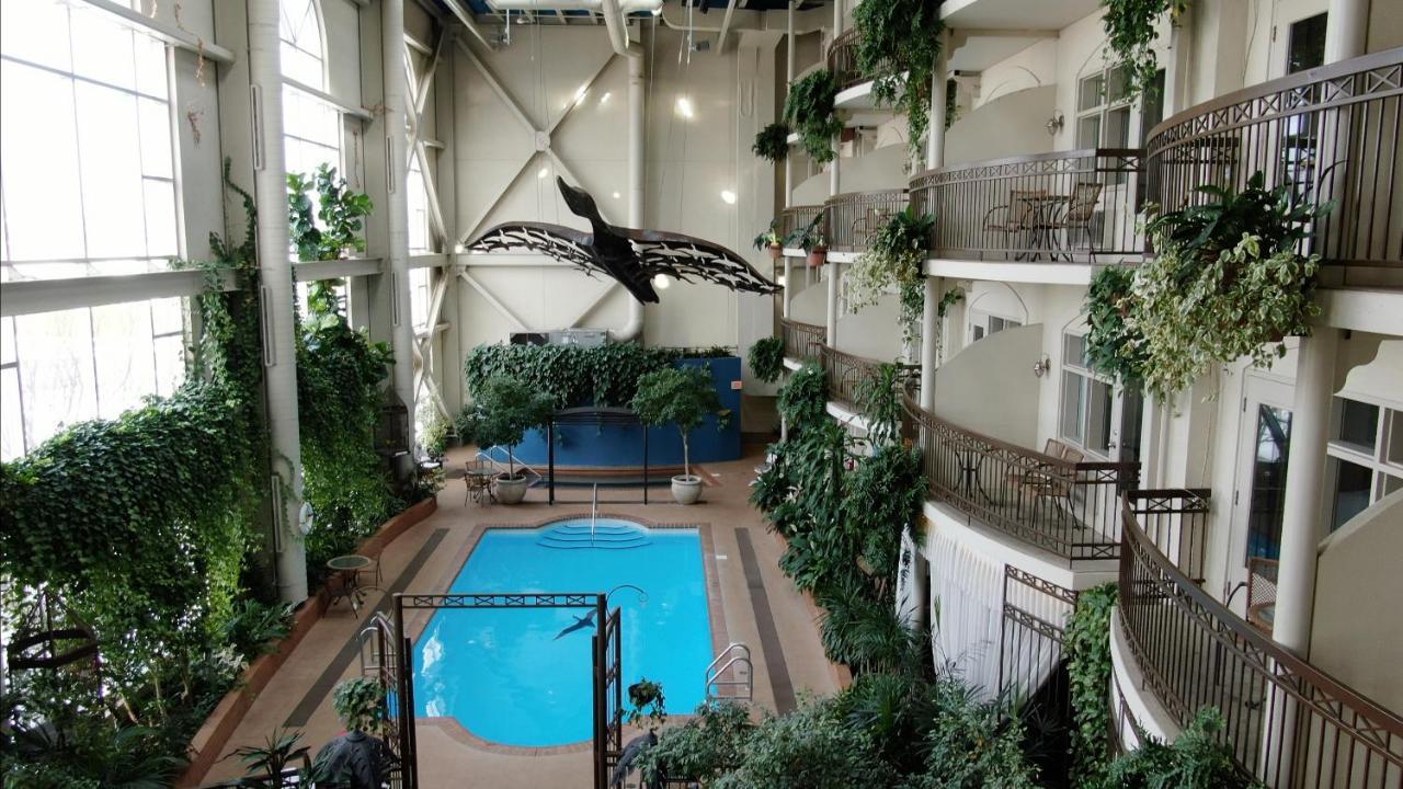 לוויס Hotel L'Oie Des Neiges מראה חיצוני תמונה