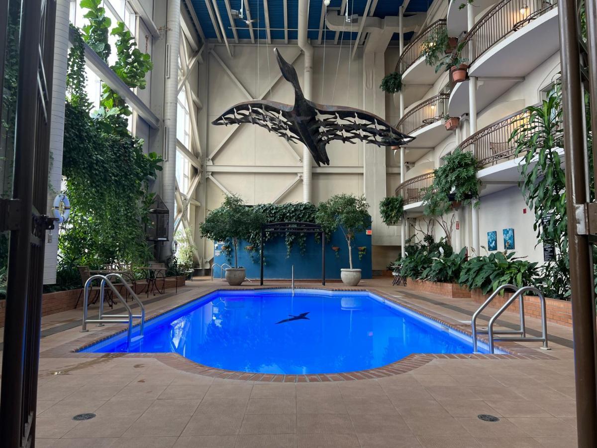 לוויס Hotel L'Oie Des Neiges מראה חיצוני תמונה