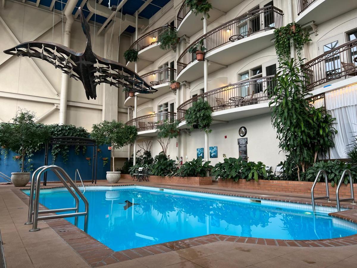 לוויס Hotel L'Oie Des Neiges מראה חיצוני תמונה