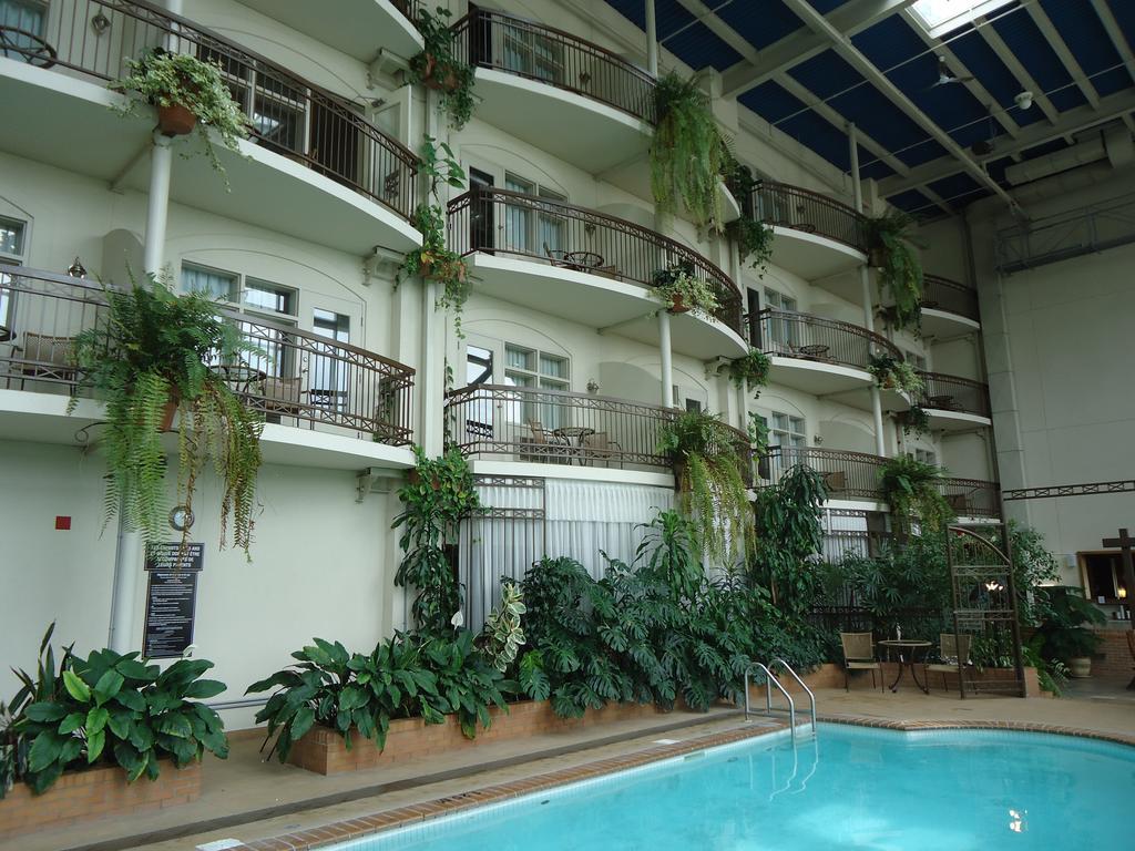 לוויס Hotel L'Oie Des Neiges מראה חיצוני תמונה