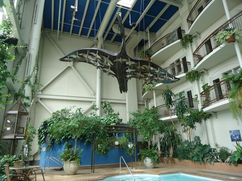לוויס Hotel L'Oie Des Neiges מראה חיצוני תמונה